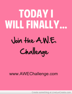 SystemSavvy Consulting join awe challenge