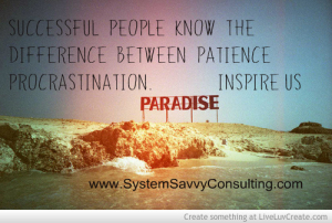SystemSavvy Consulting coaching